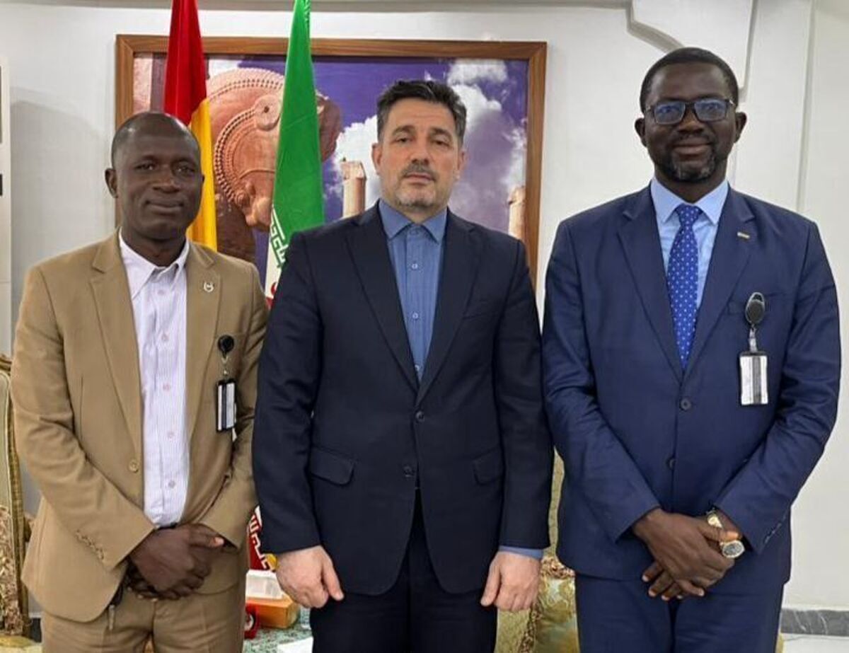 سفیر ایران در گینه با نمایندگان وزارت امور خارجه این کشور دیدار کرد