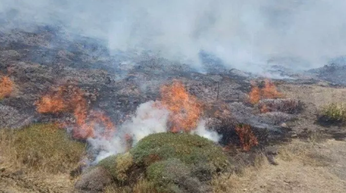علت آتش‌سوزی در ۲۰۰ هکتار مراتع و جنگل ابر شاهرود عامل انسانی بود
