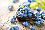 بلوبری، راه طبیعی برای کاهش چین‌ و چروک‌