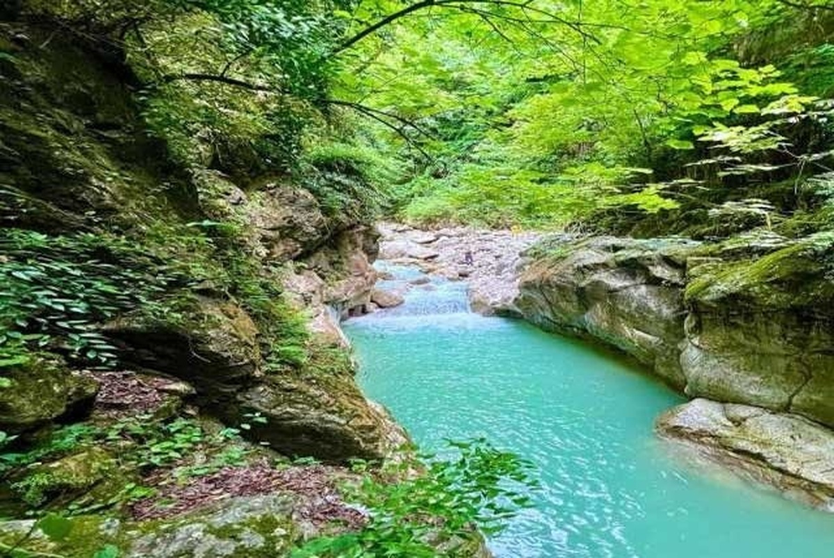 آمازونی‌های نزدیک تهران/این ۴ تنگه را ببنید