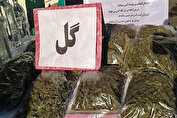 ۳۰ کیلوگرم مواد روان‌گردان گل کشف شد