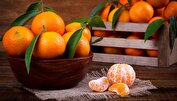 با نارنگی بیماری‌ها را ضربه فنی کنید