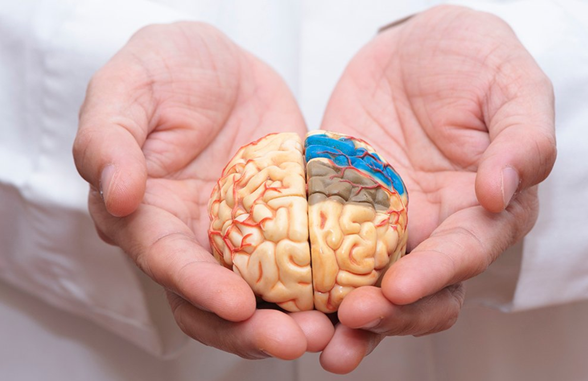 با آلزایمر خداحافظی کنید