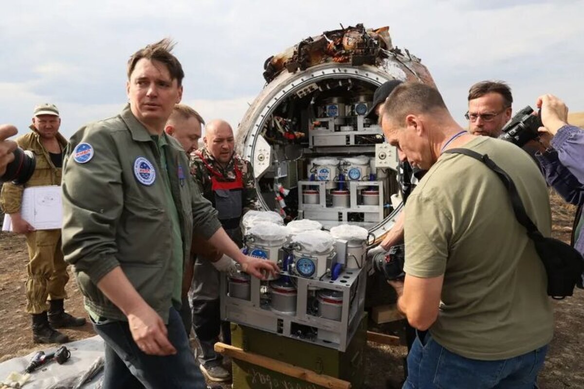 بازگشت موش‌ها و مگس‌های روسیه به زمین