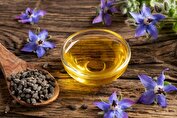 اعصابتان را با دمنوش گل گاوزبان آرام کنید
