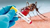 راهکار تخصصی برای مقابله با پشه آئدس