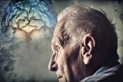 چند راهکار ساده برای جوانی حافظه