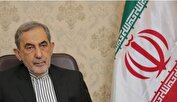 ولایتی: پذیرش آتش‌بس نشانه شکست رژیم صهیونیستی و پیروزی مقاومت است