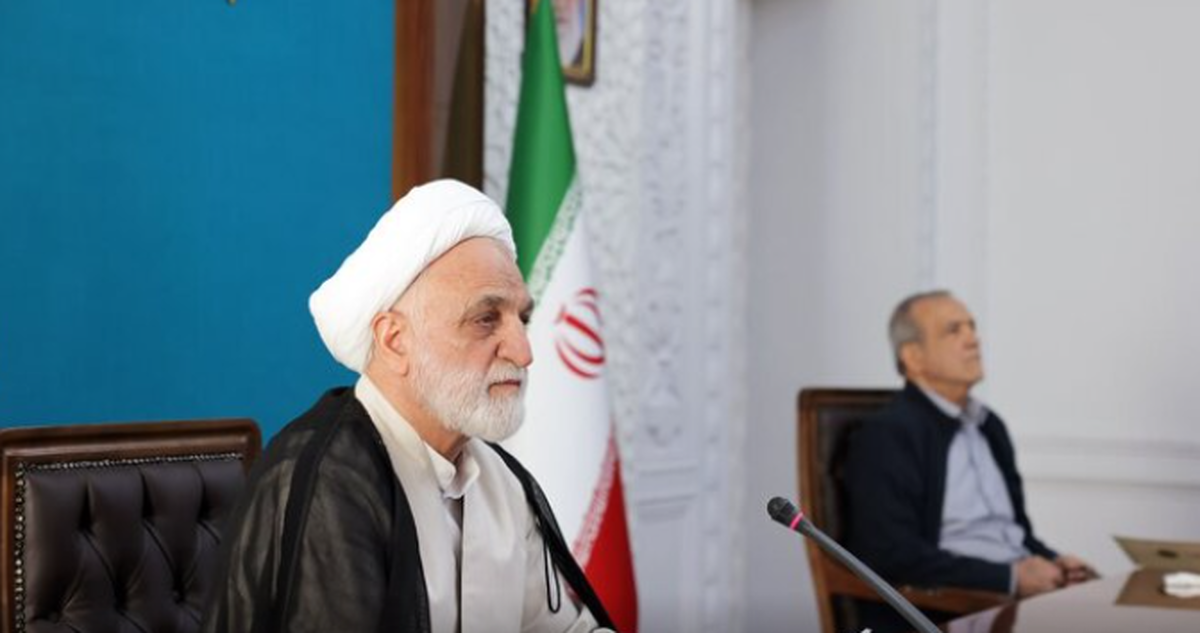 محسنی اژه‌ای: فساد را از خطا تفکیک می‌کنیم