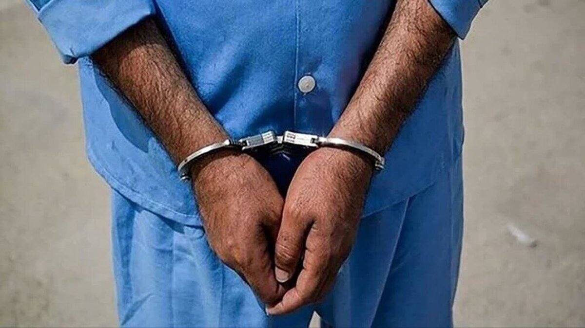 عامل سرقت از کارت بانکی نیوشا ضیغمی دستگیر شد
