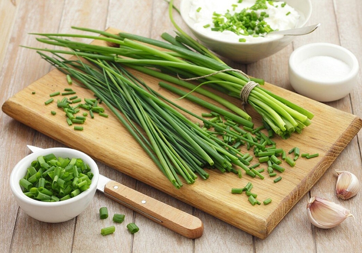 تره برای دیابتی‌ها ممنوع نیست