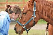 «اسب‌درمانی» امید تازه برای بهبود ارتباطات کودکان اوتیسم