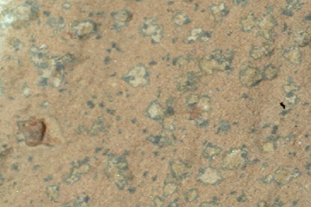 عکس روز ناسا از پوشش پلنگی سنگ‌های مریخ