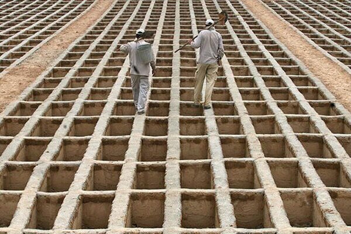 ثبت ۲۶۱ هزار واقعه فوت در ۷ ماهه امسال  گیلان بالاترین نرخ فوت