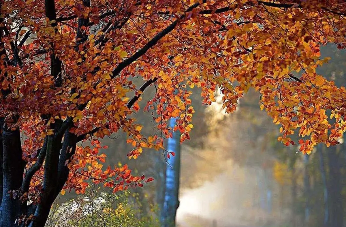 ۲ خبر بد هواشناسی؛ از بارش خبری نیست و آلودگی هوا تشدید می‌شود