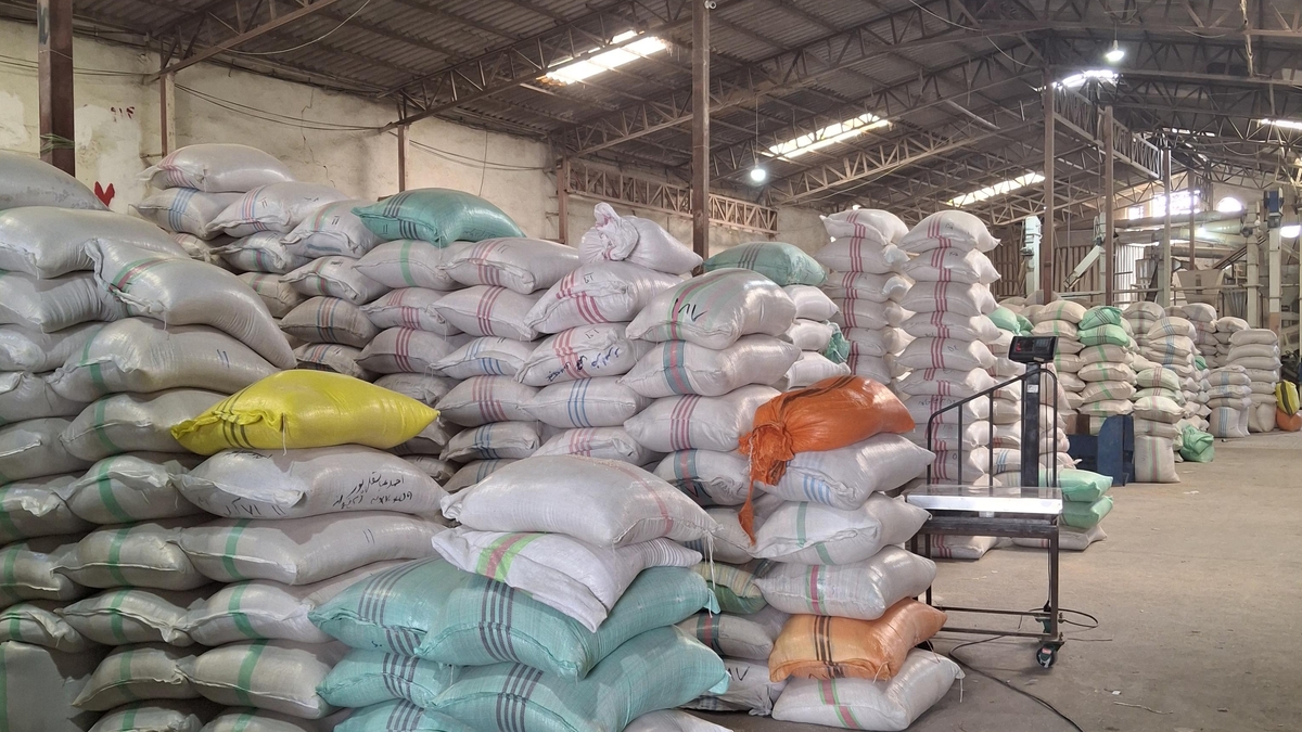 برنج پاکستانی در لباس شمالی وقتی برنج بی‌هویت می‌شود