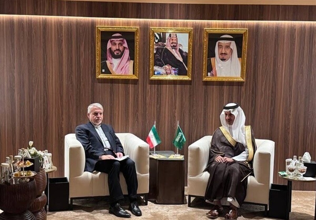 صالحی امیری: همکاری‌های فرهنگی ایران و عربستان می‌تواند الگوی وحدت‌اسلامی باشد