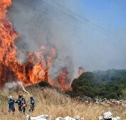 جنگل «الیت» همچنان در آتش می‌سوزد
