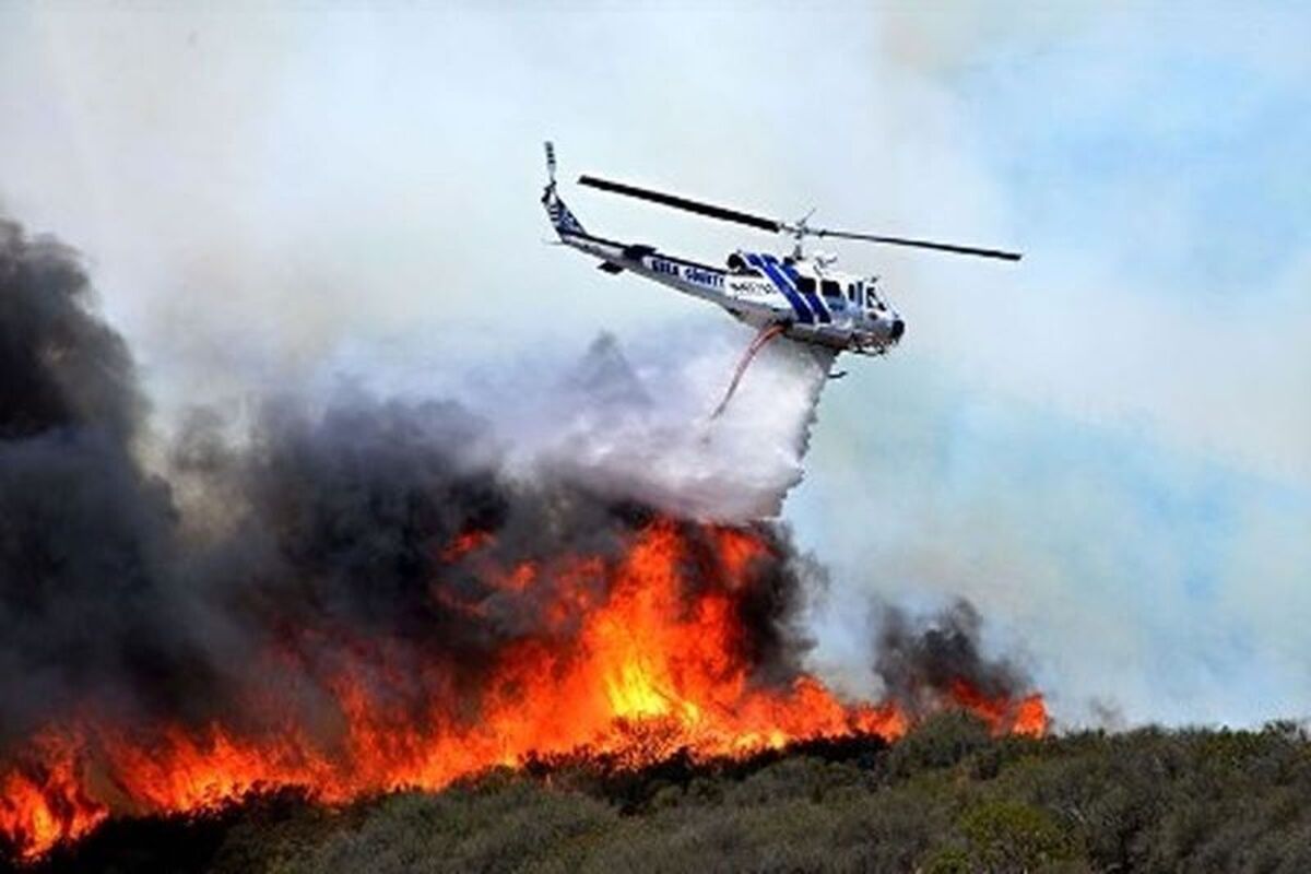 جنگل‌های چالوس در آتش اعزام نیروی کمکی برای مهار آتش‌سوزی