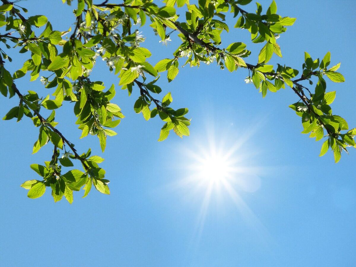 جو آرام در اغلب مناطق کشور