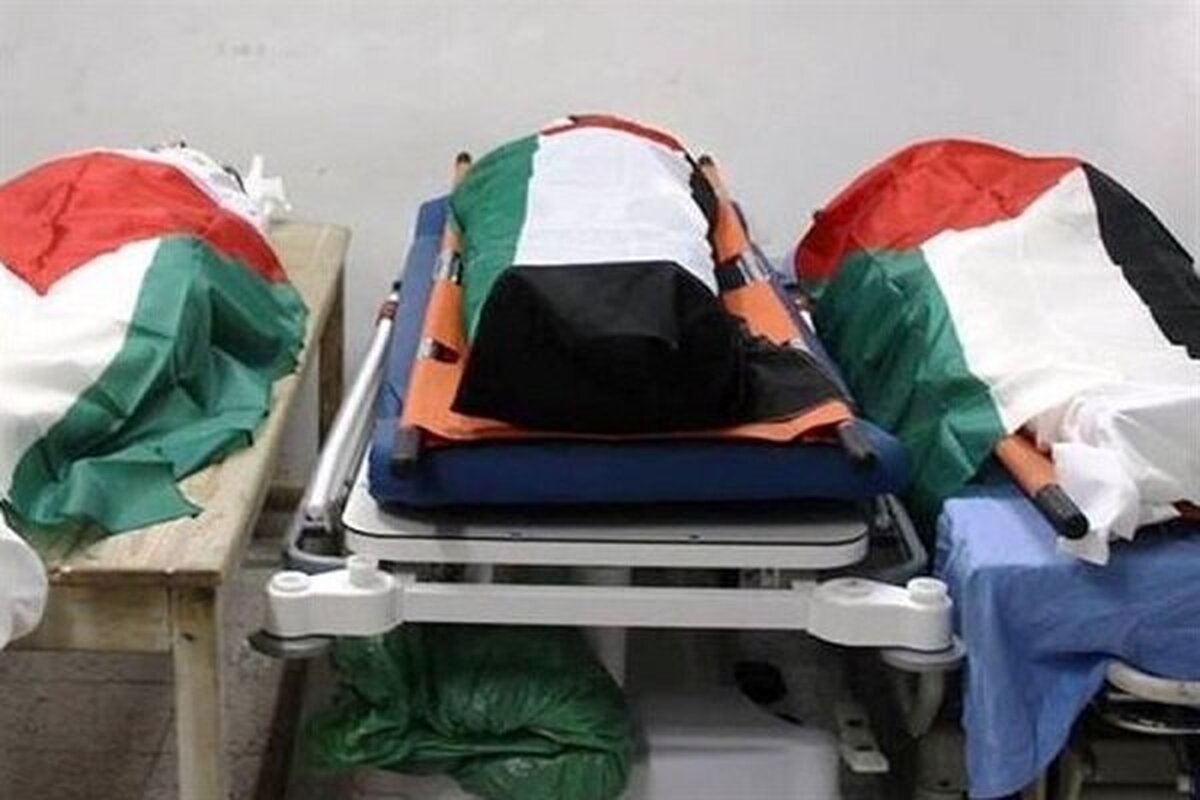 شهادت ۲ فلسطینی به ضرب گلوله صهیونیست‌ها در کرانه باختری