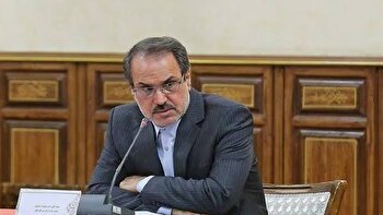 هشدار سازمان بازرسی درباره انحراف اعتبارات و دخالت‌ها در بخش معدن