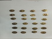 ۷۴ سکه تاریخی در اسدآباد کشف شد/ دستگیری فروشنده اموال تاریخی