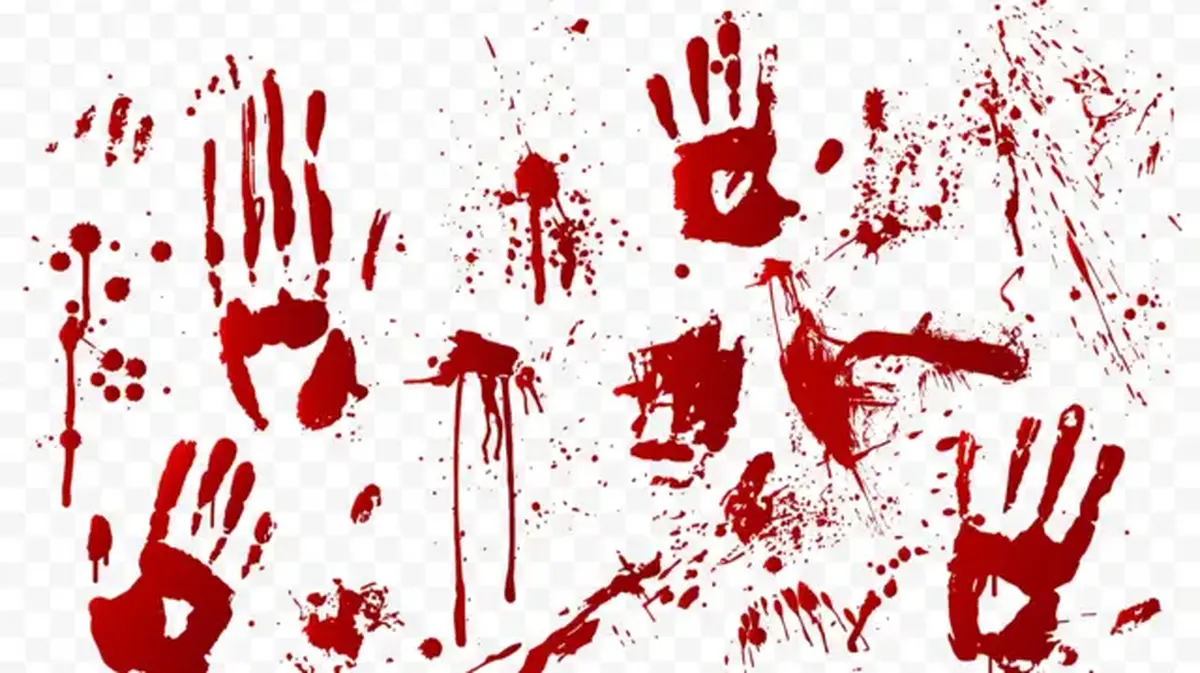 قتل خونین مادر | از مادرم پول خواستم، فقط یک سکه به من داد