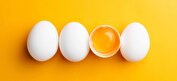 تاثیر تخم‌مرغ در سلامت مغز