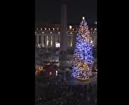 ببینید| روشن شدن درخت کریسمس در واتیکان