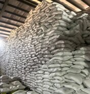 ۴۱ هزار تُن برنج و نهاده دامی قاچاق و احتکاری کشف شد