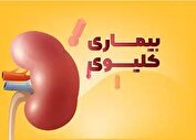چگونه از ابتلا به بیماری‌های کلیوی جلوگیری کنیم؟