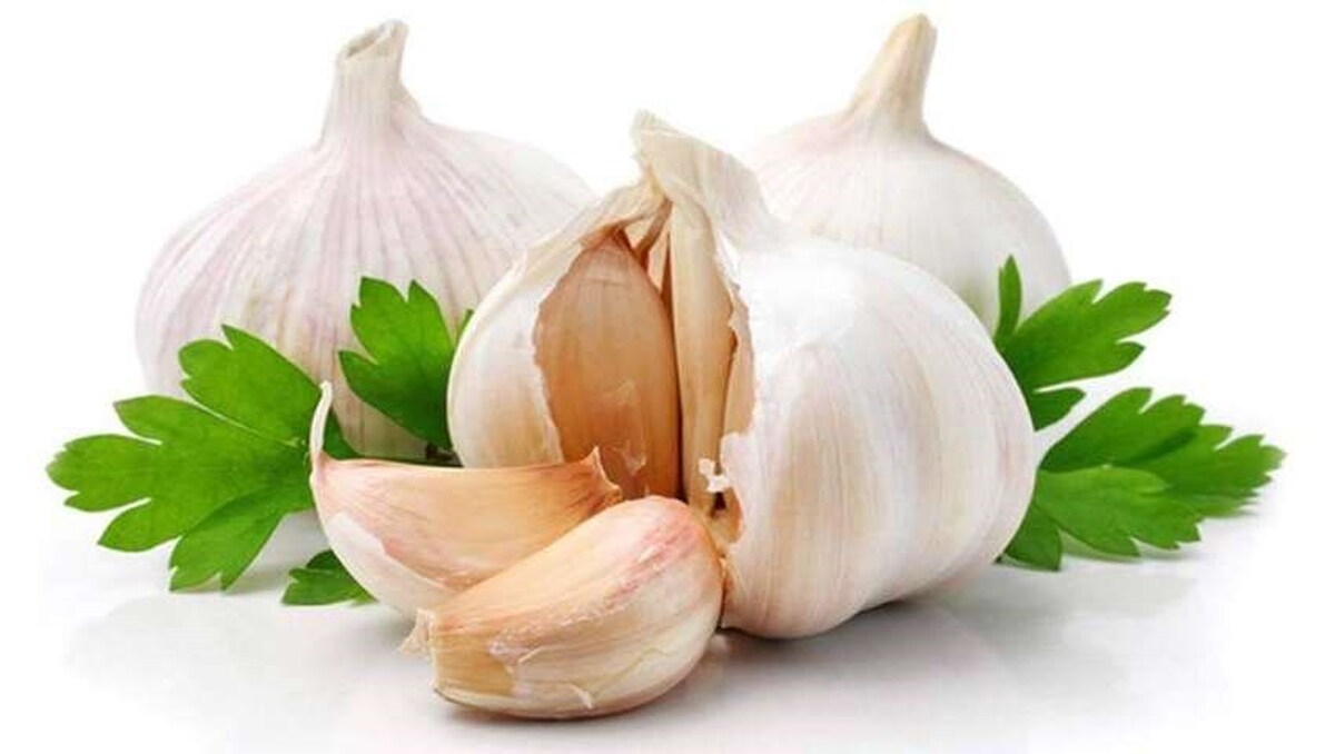 مصرف سیر خام ناشتا باعث لاغری نمی‌شود