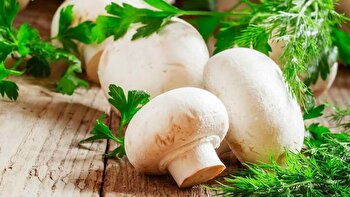 تاثیر مصرف قارچ برای سلامت قلب