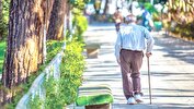 ۱۴ درصد جمعیت کشور سالمند هستند/ورود ایران به دوره سالمندی