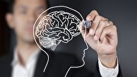 راز جوانی مغز کشف شد