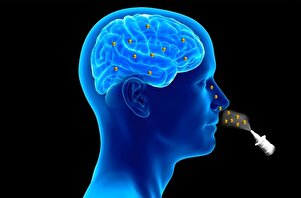 طراحی دارویی به صورت قطره بینی برای حذف تومور‌های مغزی